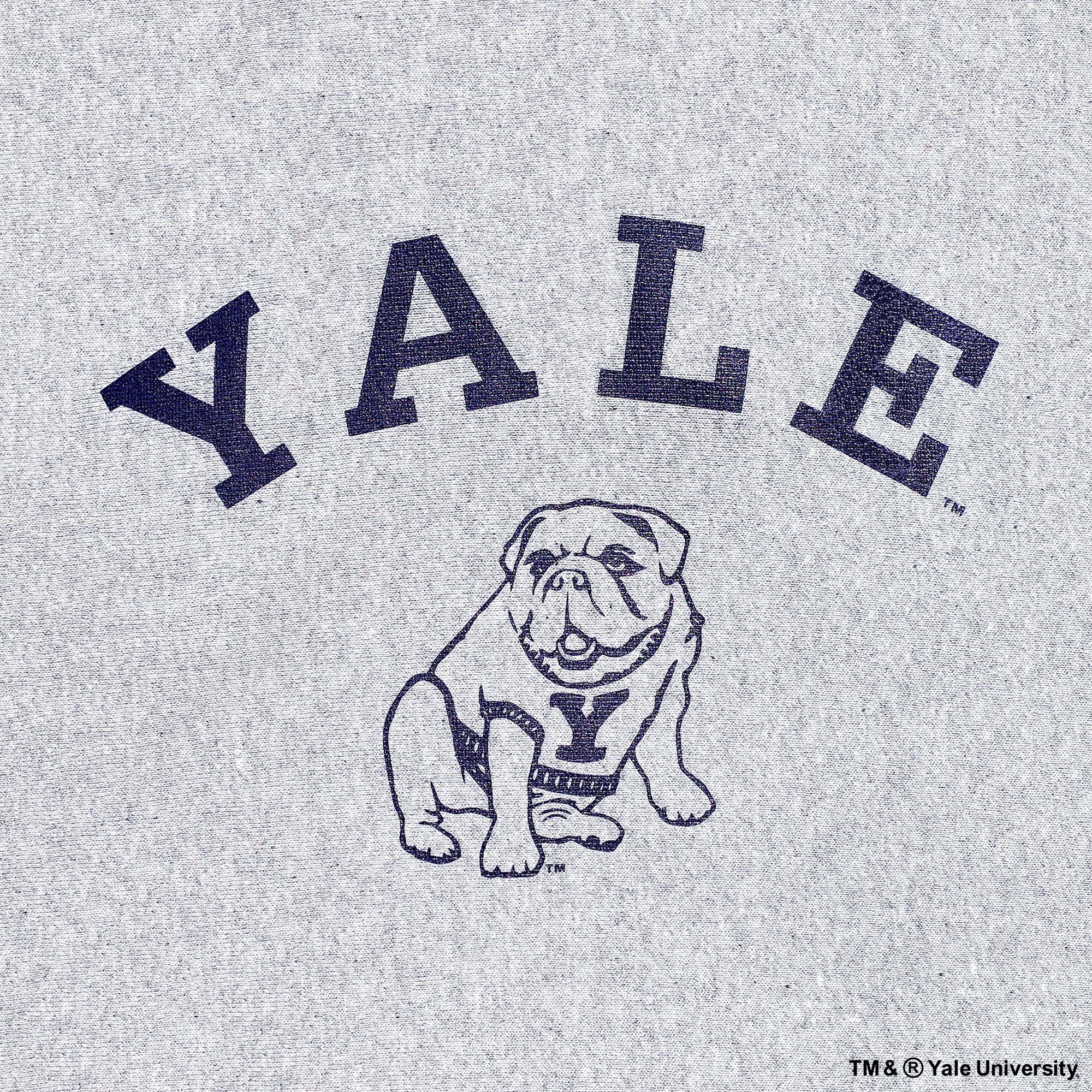 Yale Bulldogs Logo Heavy Weight Hooded Sweatshirt Model 23.003